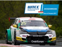 WTCC 2017:      ,            