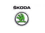   Skoda    100 .